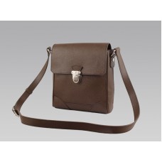 Louis Vuitton Taiga kůže Luka Grizzli