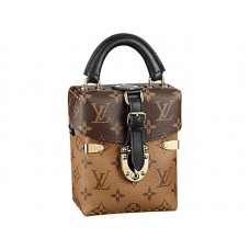 Plátěný box na fotoaparát Louis Vuitton Monogram Hnědý
